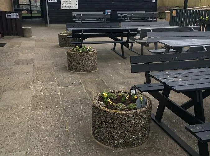 Camping Hirtshals Camping